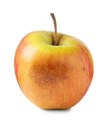 One whole rotten apple isolated on white