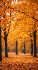 Fototapeta premium Golden Autumn Path: Serene Forest Canopy