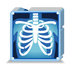 x ray of human spine