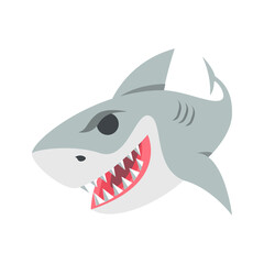 shark cartoon