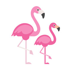 Fototapeta premium pink flamingo 