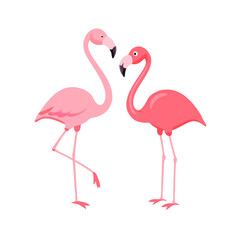 Obraz premium two pink flamingos