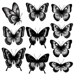 Obraz premium Whispers of Winged Shadows AI Generated