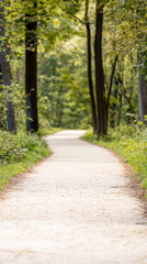 Obraz premium Serene autumn escape on forest pathway in nature's tranquility