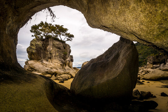 Iconic rock formation with a lone tree seen through a natural sea cave arch at Cathedral Cove, Coromandel Peninsula, New Zealand