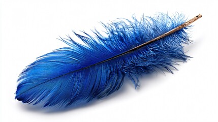 Obraz premium Elegant Blue Feather Isolated on White Background for Creative Projects and Designs