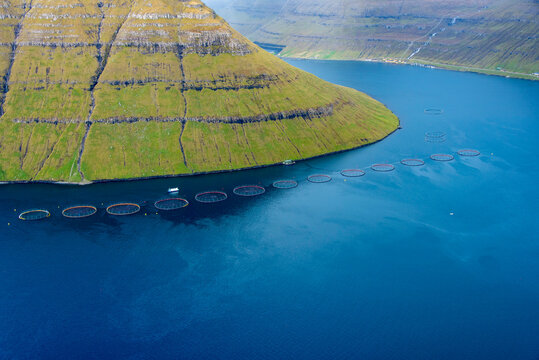 Salmon Farming - Faroe Islands