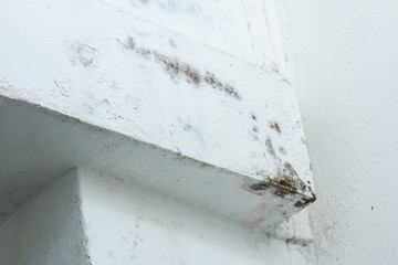 Mold on white painted concrete wall