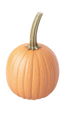 Large round orange pumpkin with curved stem isolated on white background for autumn harvest Halloween decoration and seasonal celebration