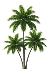 Obraz premium Triple Palm Oasis AI Generated
