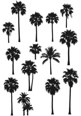 Obraz premium Midnight Palms AI Generated