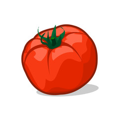 tomato isolated on white background
