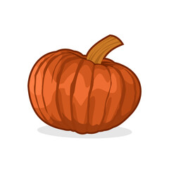 pumpkin isolated on white background