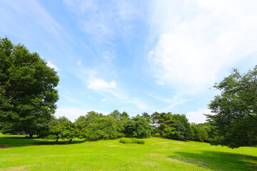 爽やかな青空と新緑