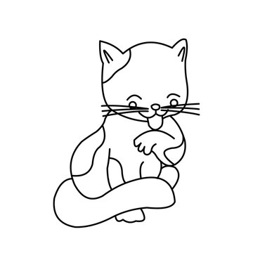 Cat cartoon vector