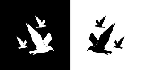 silhouettes of birds