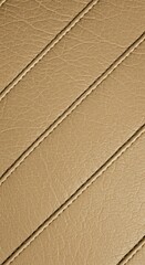 Fototapeta premium Golden Hour Stitches