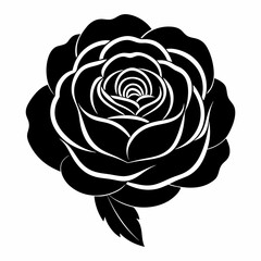 black and white rose