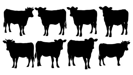 Cow Silhouette Set – Black Farm Cattle in Standing Poses on White Background