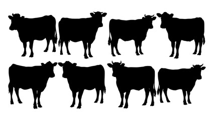 Cow Silhouette Set – Black Farm Cattle in Standing Poses on White Background