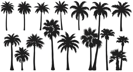 Obraz premium Palm Silhouette Symphony AI Generated