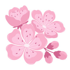 A Bunch of Cherry Blossom Flowers With Buds. Flat and Simple Pink Sakura.
