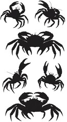 Crab Silhouette Symphony