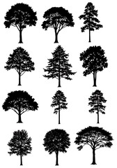 Nocturne of Silhouettes