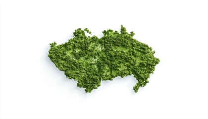 Obraz premium Green forested landmass map