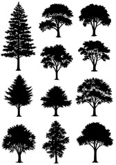 Nocturne of Silhouettes