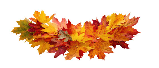 Vibrant autumn leaves in various colors.