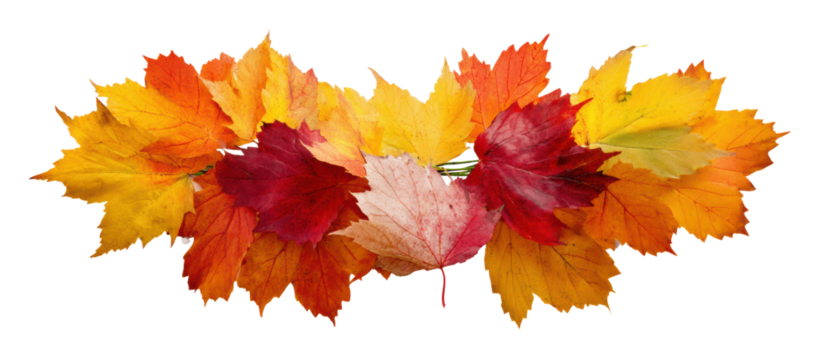 Colorful autumn leaves arranged in a circle. - Powered by Adobe