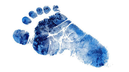 Artistic blue footprint representing eco-awareness.