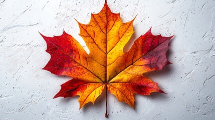 Autumnal leaf art on textured surface