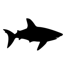 shark silhouette 