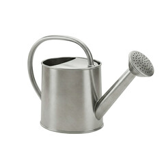 Metal watering can with top handle and spout
