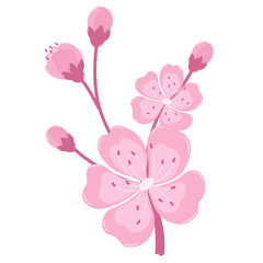 Cherry Blossom Flower in Bloom. Flat and Simple Pink Sakura.