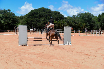 Show jumping,Horse jumping.Equestrian jumping,Jumping horse,Equestrian sport,Horseback...