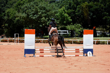 Show jumping,Horse jumping.Equestrian jumping,Jumping horse,Equestrian sport,Horseback...