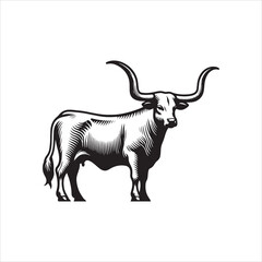 Black and White Vector of  Texas Longhorn Cow &ndash; Easy Tracing Illustration