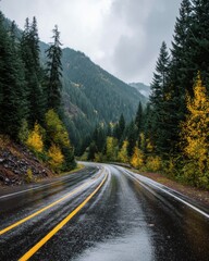 Naklejka premium Winding Road Through Evergreen Forest in Autumn on Rainy Day Eye Level Shot in Oregon