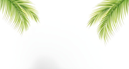 Fototapeta premium Palm leaves frame, Tropical frame, Palm frond border, Green palm frame, Botanical frame, Leafy frame, Palm leaf border, Jungle frame, Tropical leaf frame, Palm wreath, Palm foliage border, Exotic fram