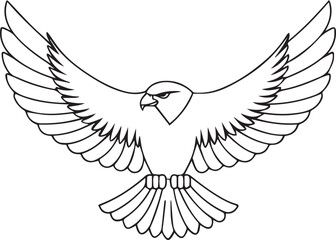 Fototapeta premium flying bald eagle line art silhouette vector, eagle line art illustration, eagle line art clipart