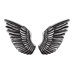 Fototapeta premium wings vector illustration