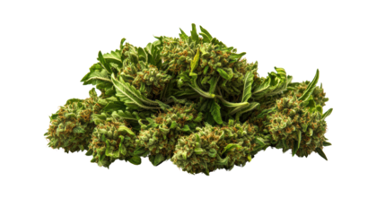 Isolated pile of cannabis buds displays vibrant green leaves and crystallized trichomes on a white background.