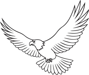 Fototapeta premium flying bald eagle line art silhouette vector, eagle line art illustration, eagle line art clipart
