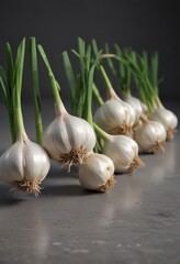 A row of fresh garlic bulbs with green stems, isolated ,  green,  aroma