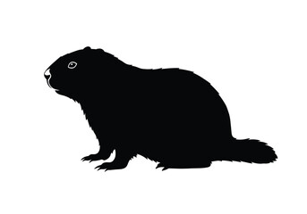Groundhog silhouette. This image shows a black groundhog outline, a rodent associated with weather predictions. Vector clipart illustration design.