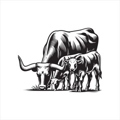 Black and White Vector of  Texas Longhorn Cow – Easy Tracing Illustration