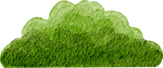 watercolor illustration bush 